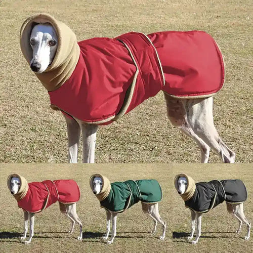 Cappotto per Alano in Pile e Tessuto Tecnico - Comfort e Protezione by Dog Moda
