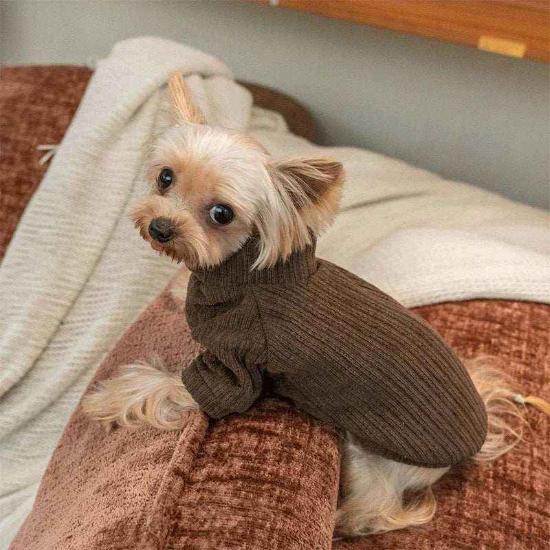 Maglia Elasticizzata per Gatti - Morbida e Comfort per Tutte le Stagioni by Dog Moda
