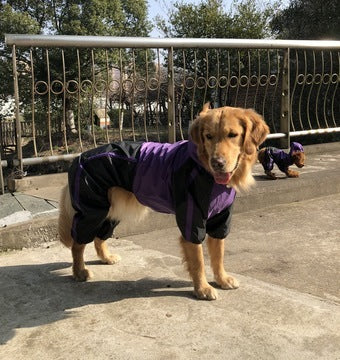 Impermeabile per Golden e Labrador Retriever  Protezione Totale – Perfetto per cani di taglia grande - Dog Moda