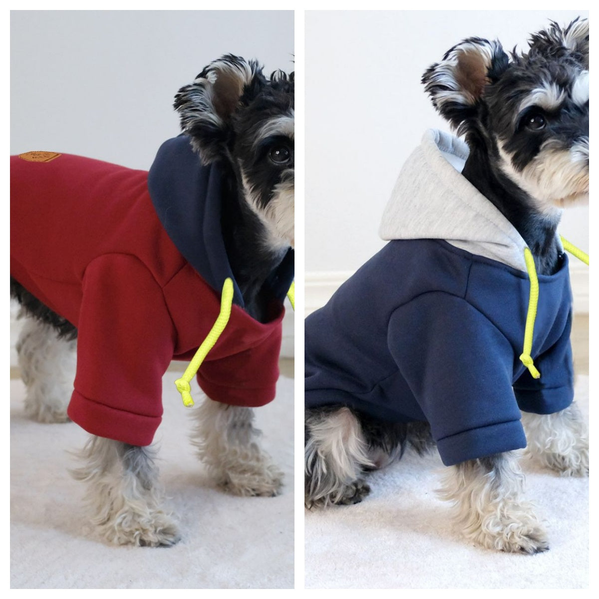 Felpa per Cani Bicolor con Cappuccio e Coulisse