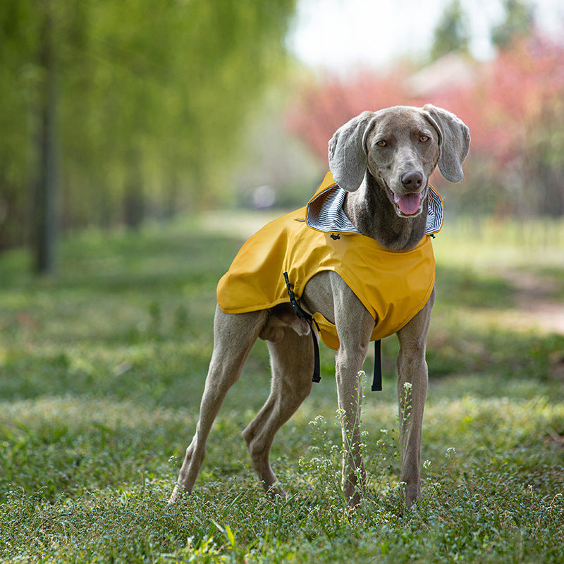 Impermeabile "Portland" per Weimaraner: comfort e protezione per le giornate piovose