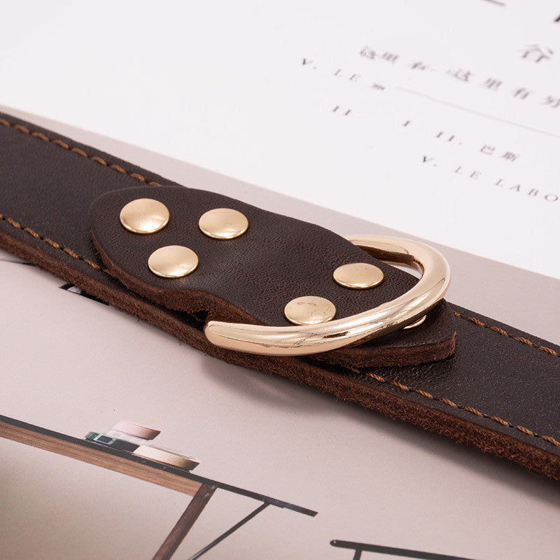 "Pawstrip" Studded Leather Dog Collar - Stylish &amp; Durable