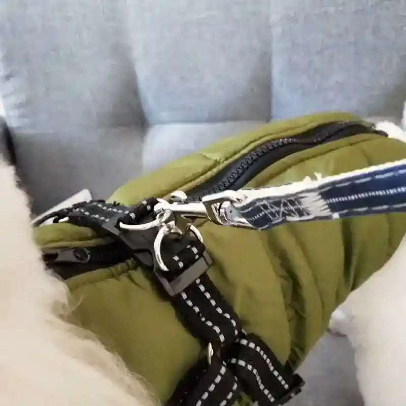 Cappotto Invernale per Cani Hall Star | Imbottito e Impermeabile by Dog Moda