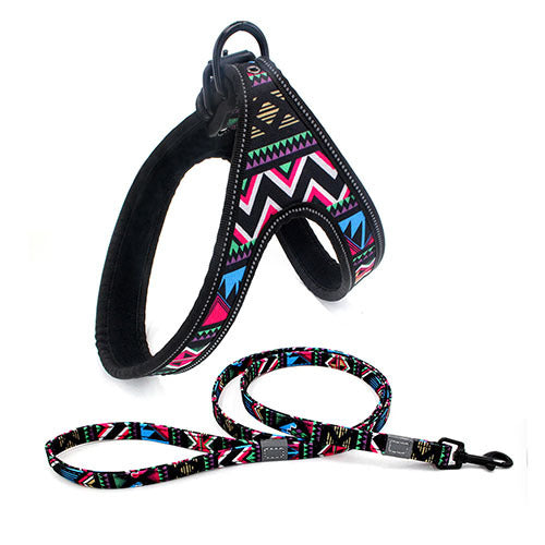 Y-shaped dog harness and leash "Variopinto" model