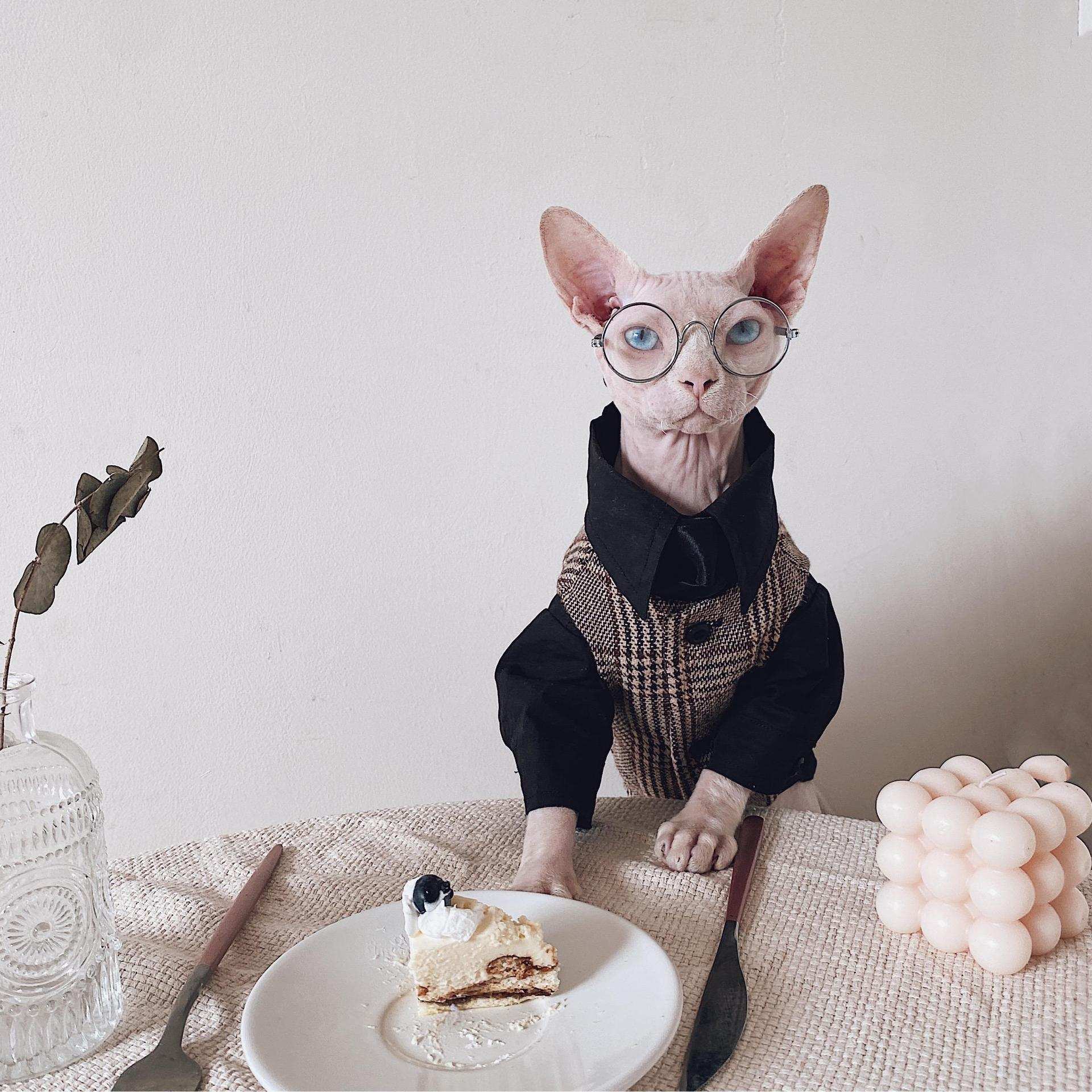 Vestito Elegante per Gatti Sphynx | Completo Giacca e Cravatta | Dogmoda