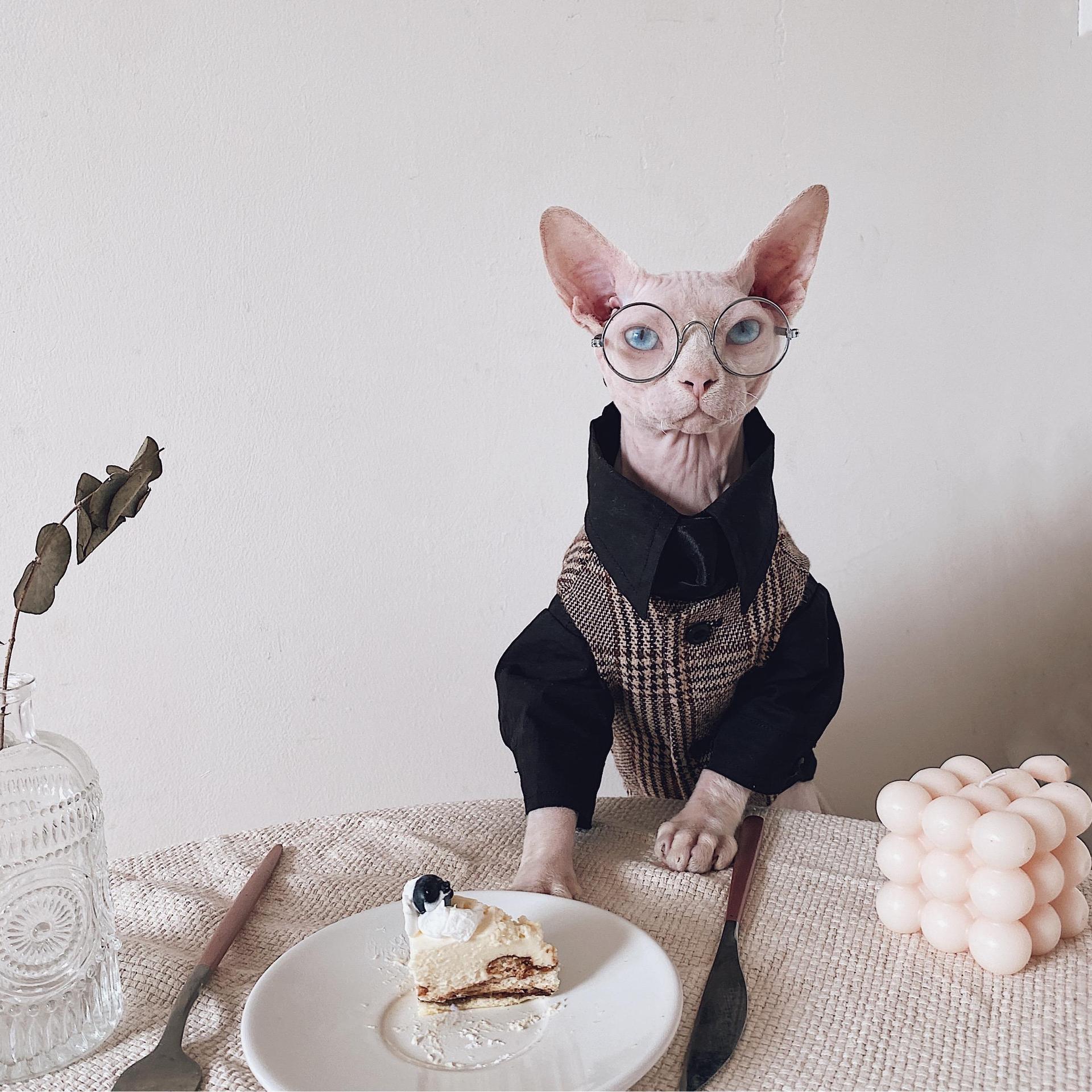 Vestito Elegante per Gatti Sphynx | Completo Giacca e Cravatta | Dogmoda
