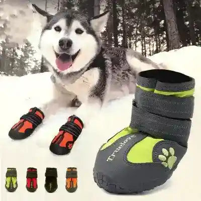 Scarpe Professionali Cani Impermeabili Luminose Velcro by Dog Moda