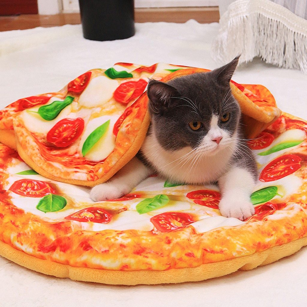 Dog and Cat Bed Cushion: Comfort and Safety for Your Four-Legged Friends