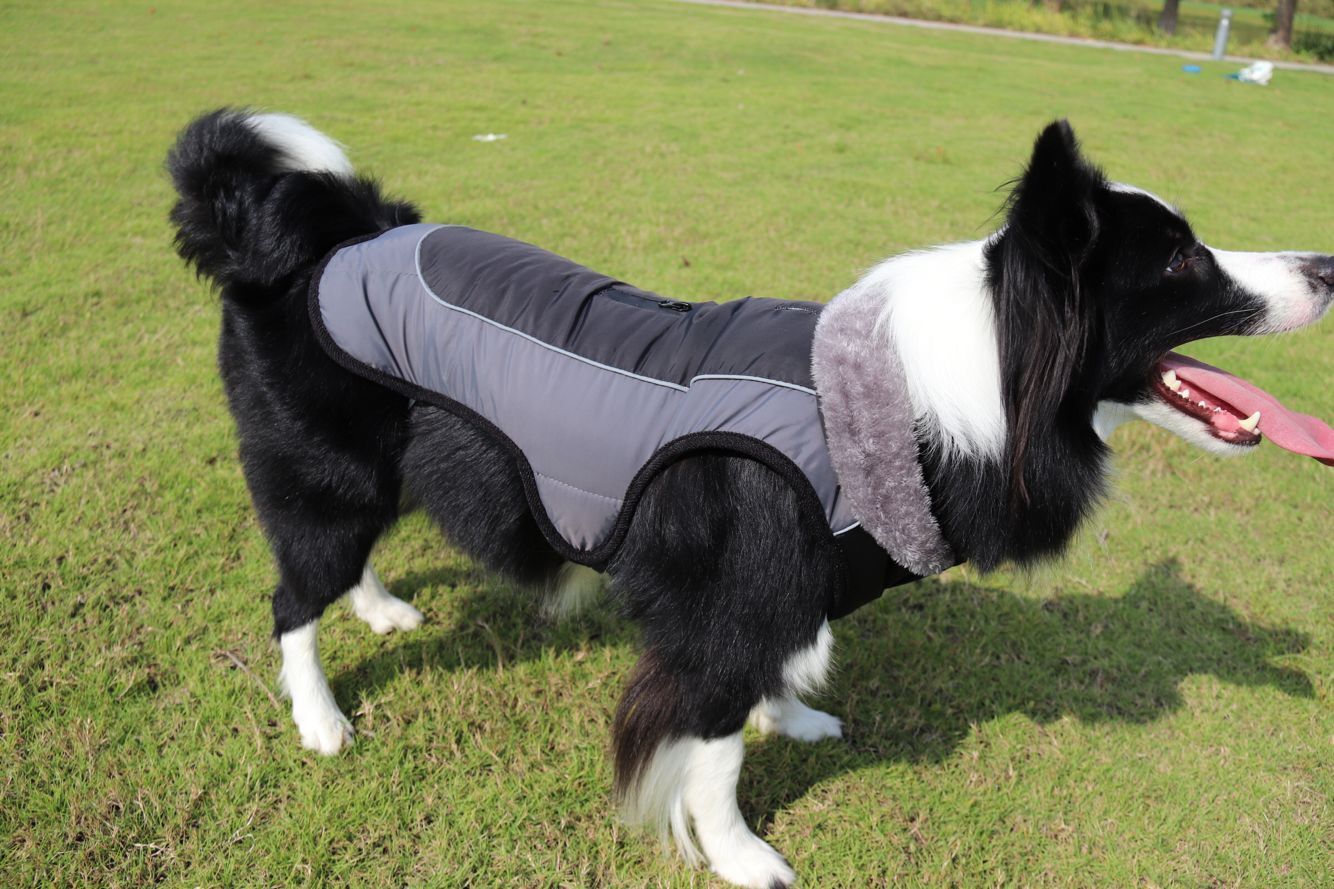 Cappotto Imbottito per Cani con Foro Pettorina | Riflettente ed Elegante