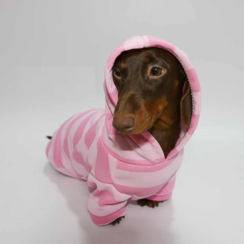 Felpa Bassotto in Pile Rosa - Con Cappuccio e Pettorina