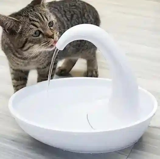 Fontanella USB per Gatti e Cani con 3 Filtri Inclusi by Dog Moda