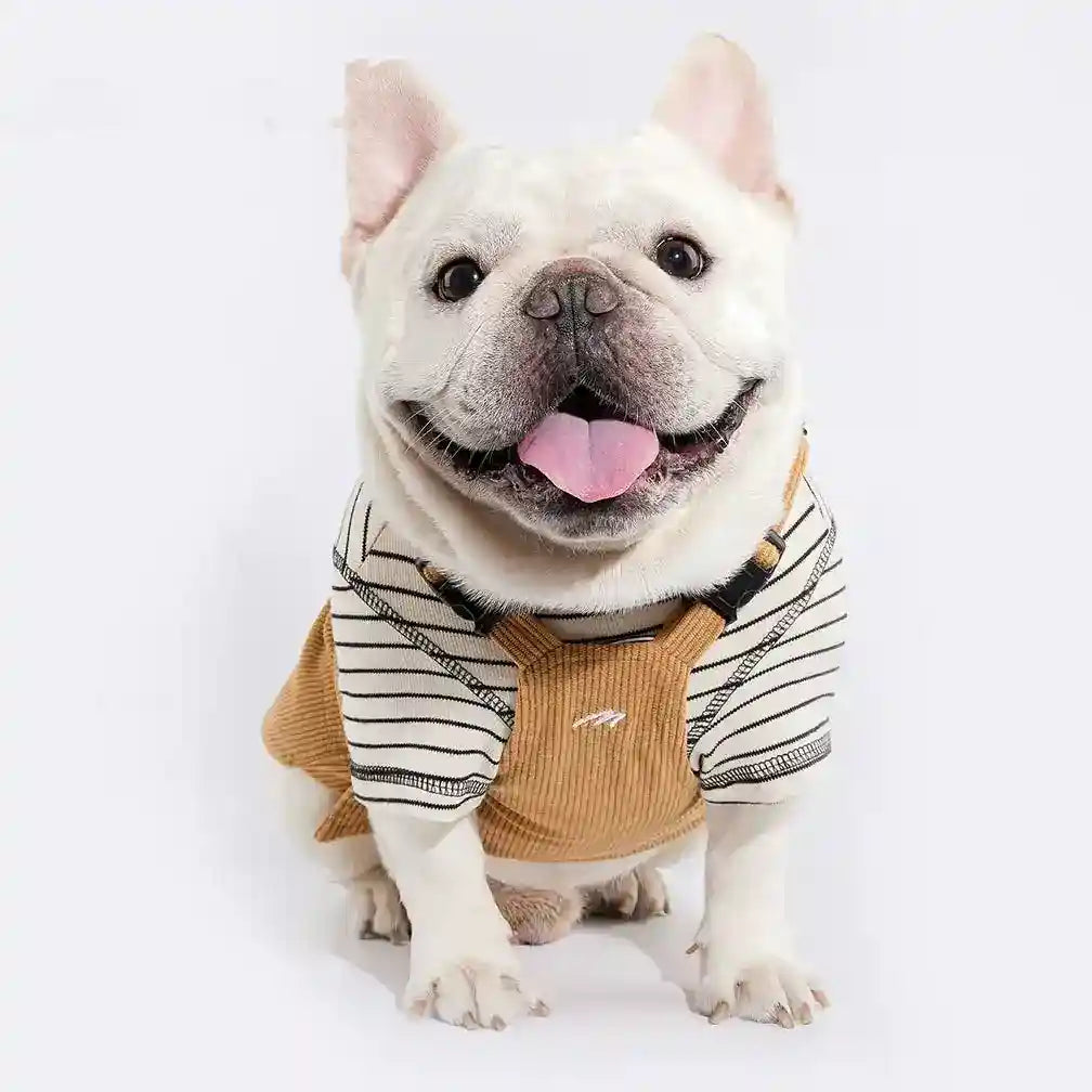 Salopette Moosipet Velluto Cani - Bretelle Taschina Beige by Dog Moda