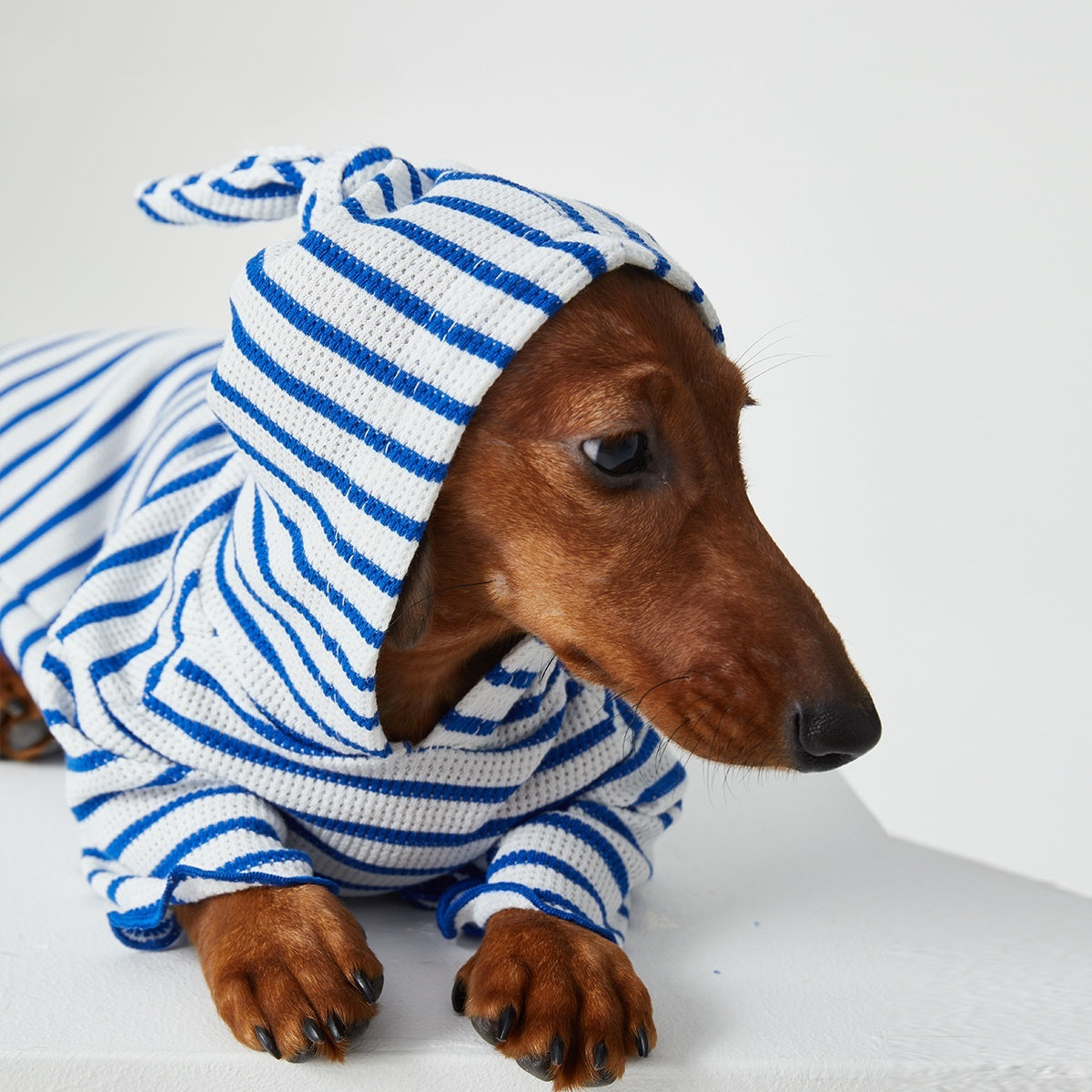 犬と猫用フード付きシャツ - 通気性のある赤と青のストライプ