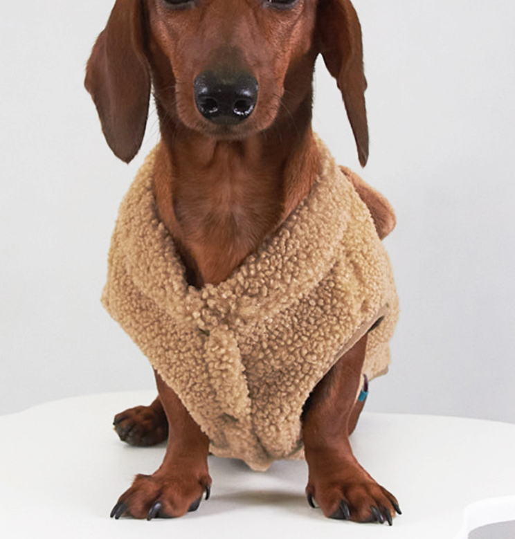 Dachshund Fleece Pillow Coat - Pig or Bear