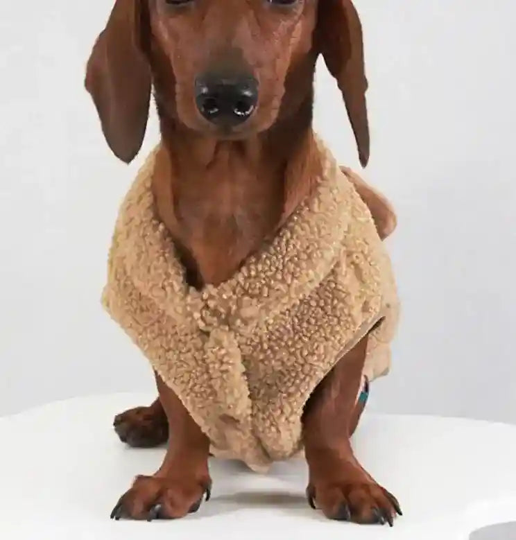 Cappotto Pillow Bassotto in Pile - Maialino o Orsetto by Dog Moda