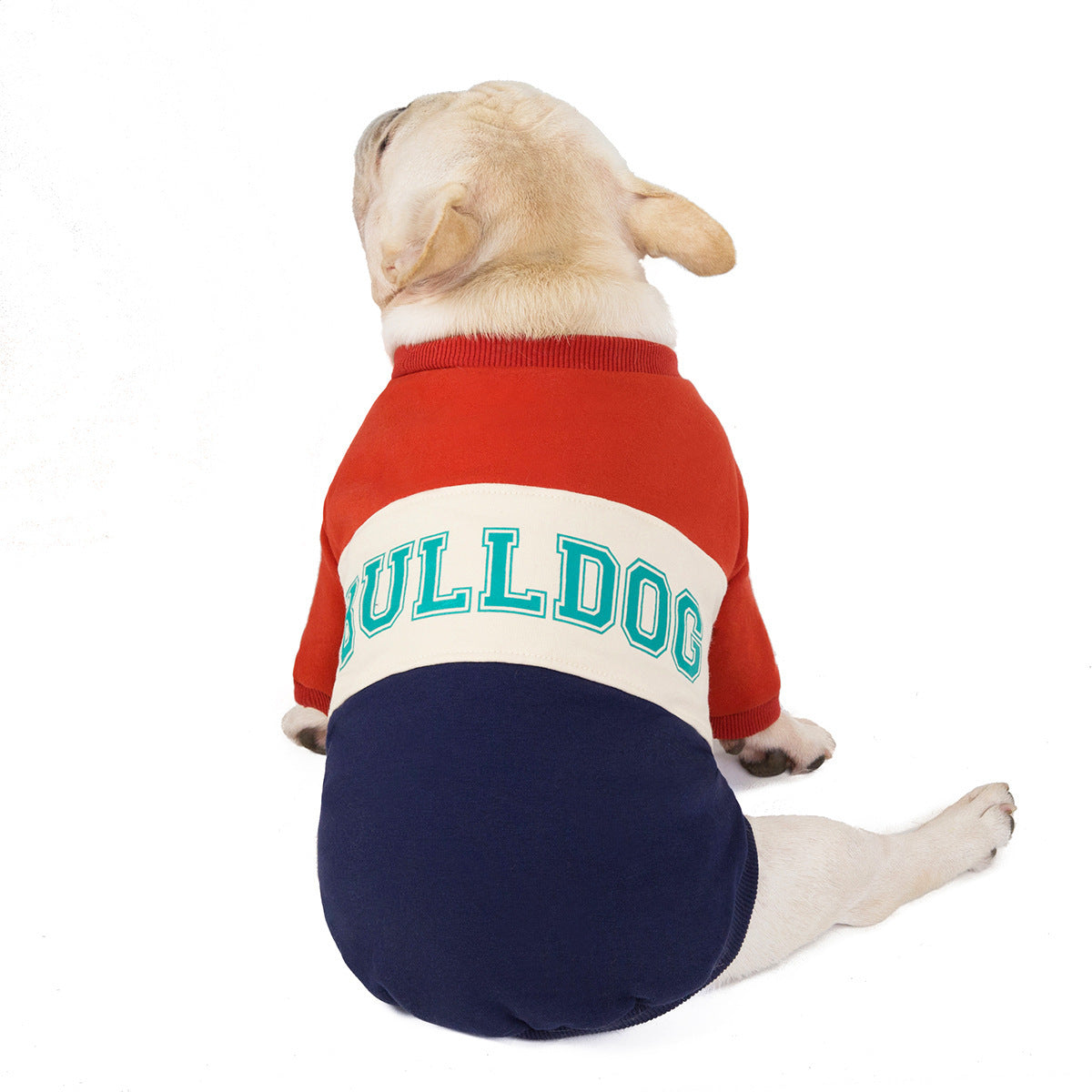 Felpa Casual per Cani Bulldog con Scritta "Bulldog" - Perfetta per Toraci Prominenti