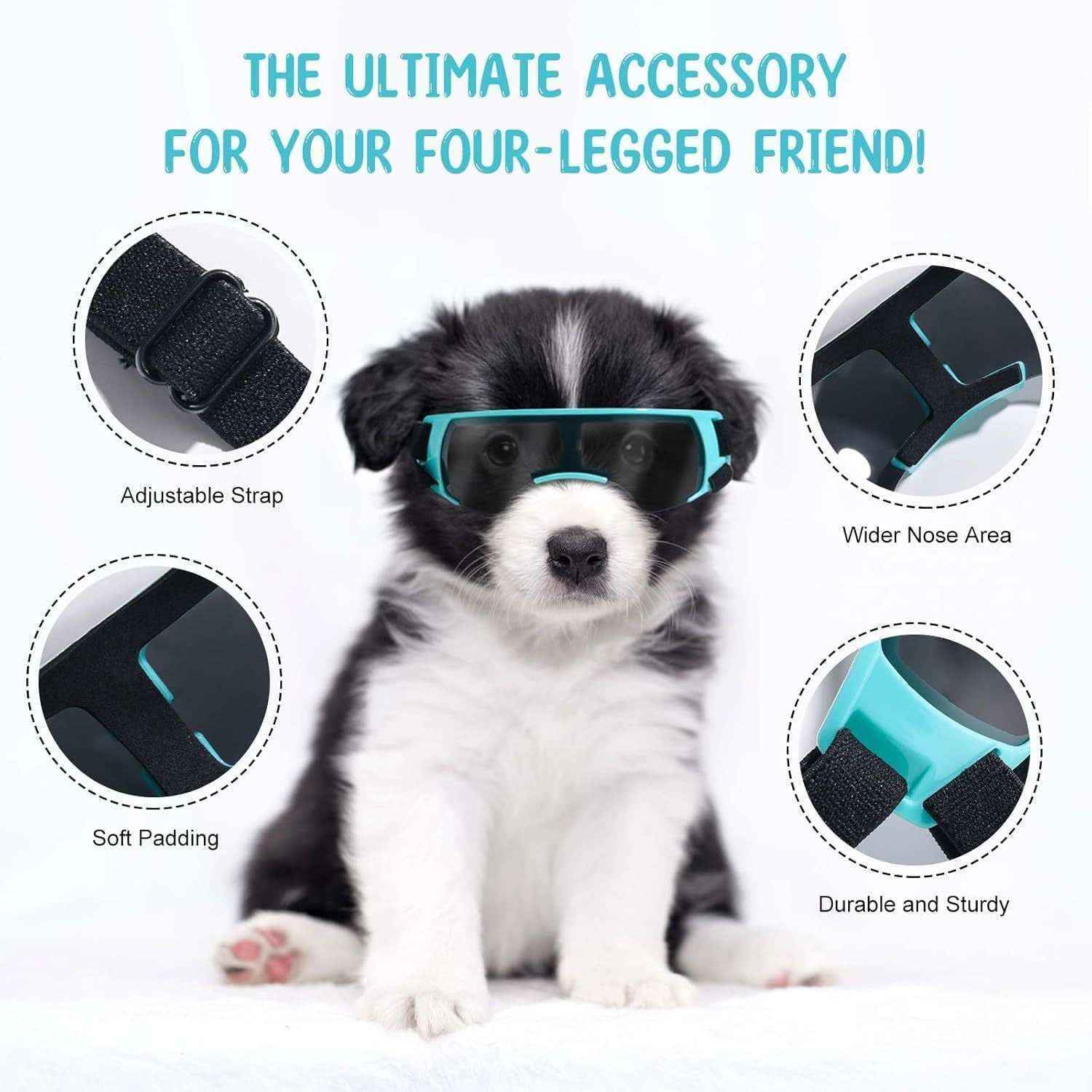 Protective Glasses for Chihuahua, Yorkshire, Toy Poodle and