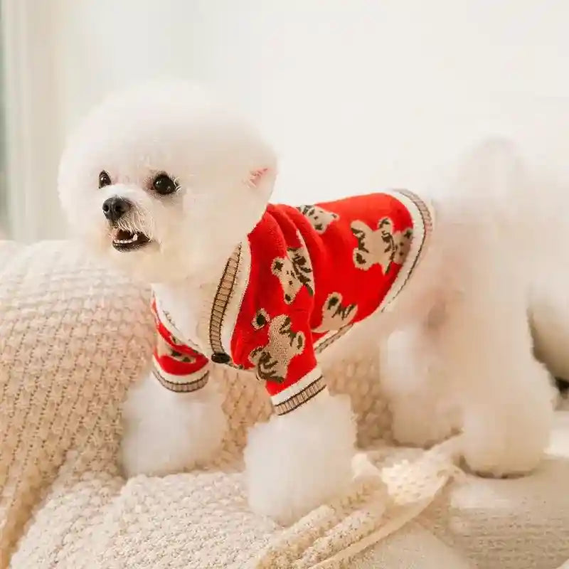 Maglione Cani Gatti Orsetto - Caldo Leggero Autunno by Dog Moda