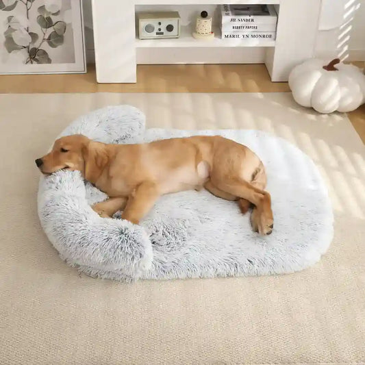 Cuccia Cane Dreamy Super Soft - Pile Lungo Imbottita by Dog Moda