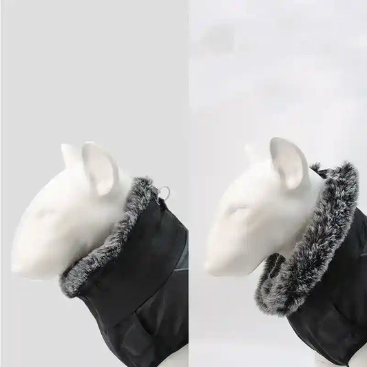 Cappotto Cani Impermeabile Pettorina - Taglie Grandi XL by Dog Moda