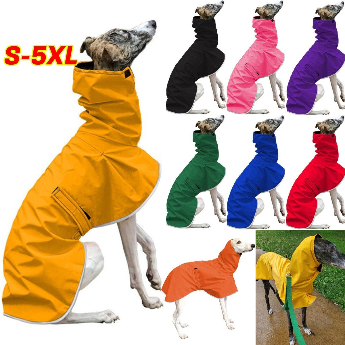 Greyhound Raincoat with Belt and Soft Fleece Padding