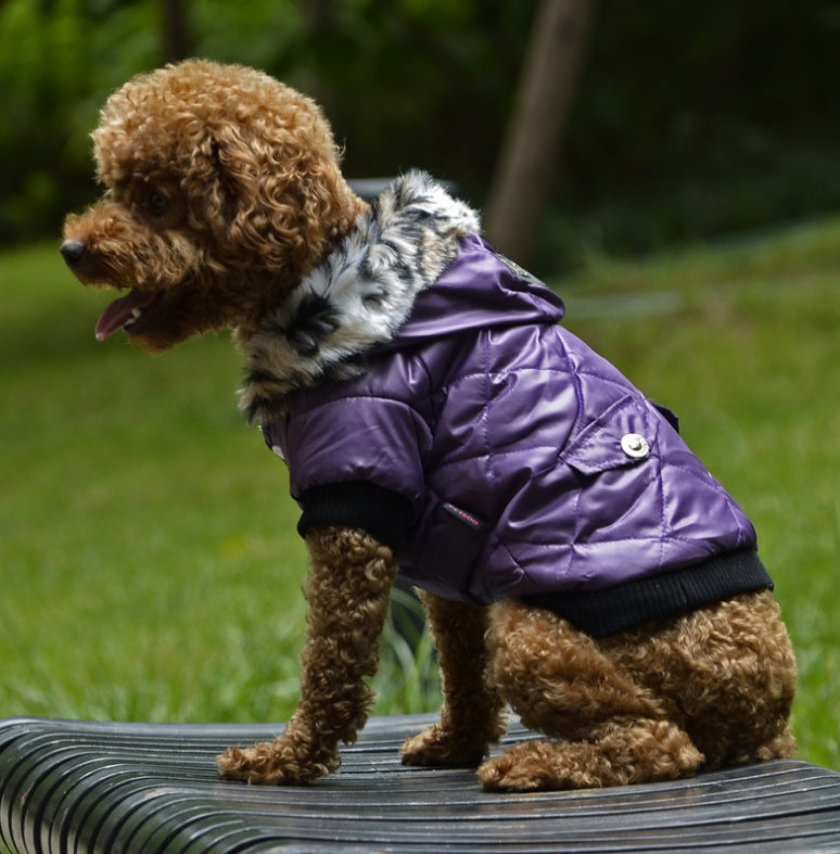 Dog Coat with Faux Fur Hood - Elegance and Warmth for Poodles