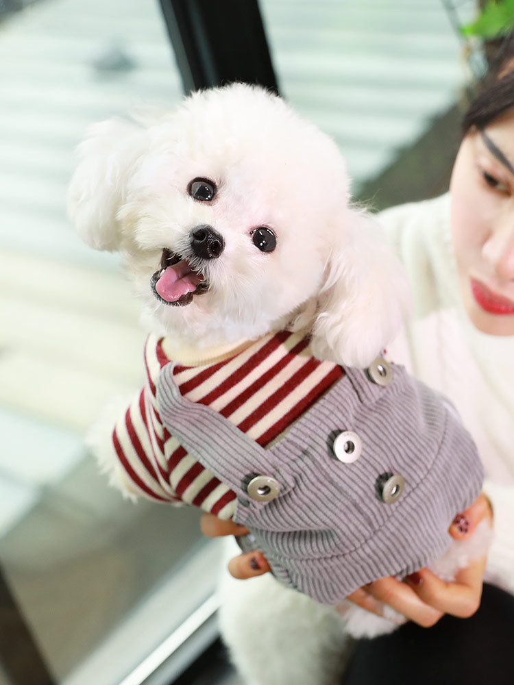 Tutina 4 Zampe Cani - Salopette Righe Caldo Inverno by Dog Moda