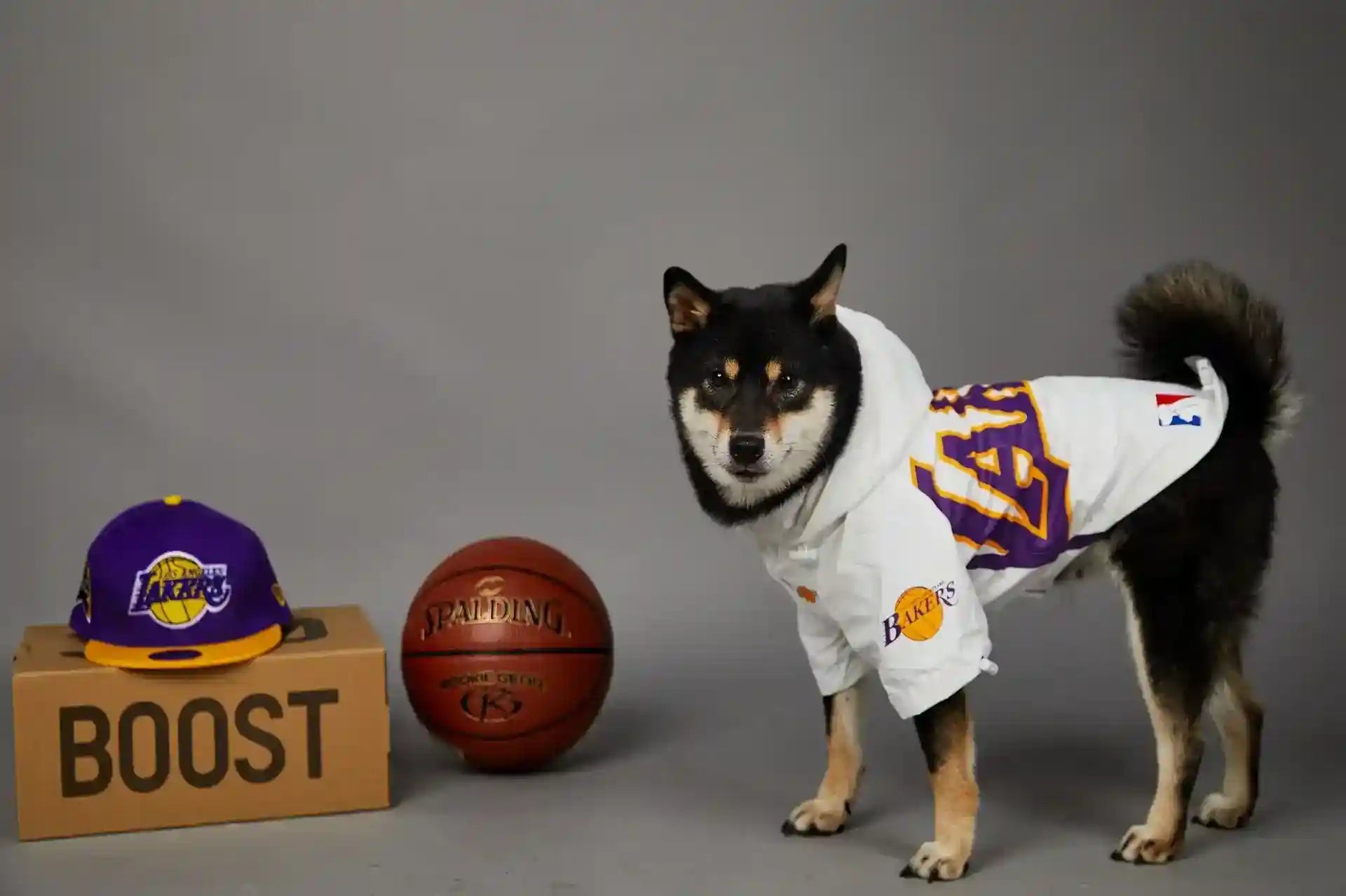 Impermeabile per Cani Lakers con Cappuccio | Giacca Cane Basket by Dog Moda