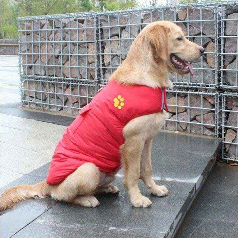 Cappotto Invernale per Cani Retriever - Cotone con Pettorina Integrata
