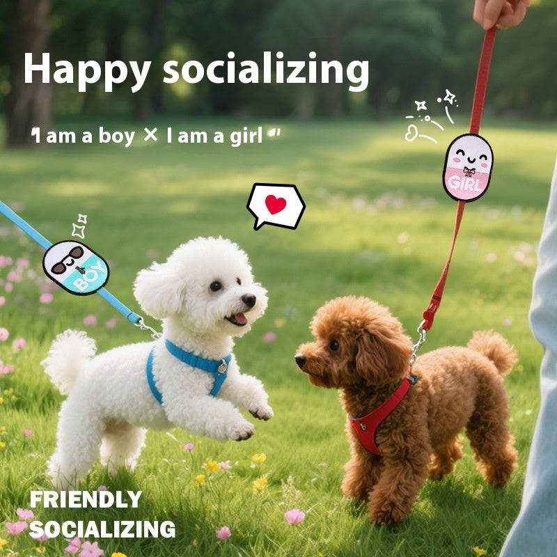 Plaques d'identification pour laisse - Messages pour chiens