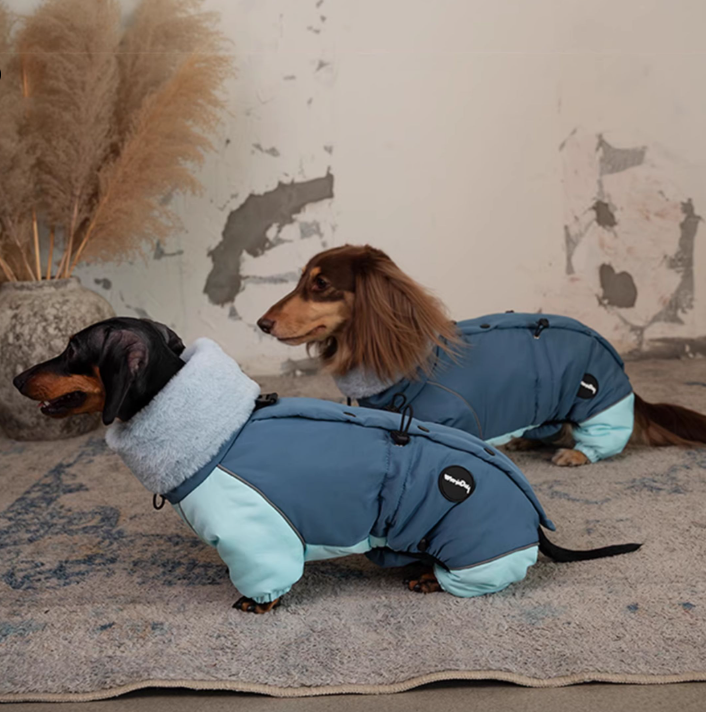 4-Legged Dachshund Padded Coat - High Fleece Collar