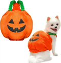 White dog wearing orange Halloween pumpkin costume with black jack-o-lantern face and green collar
