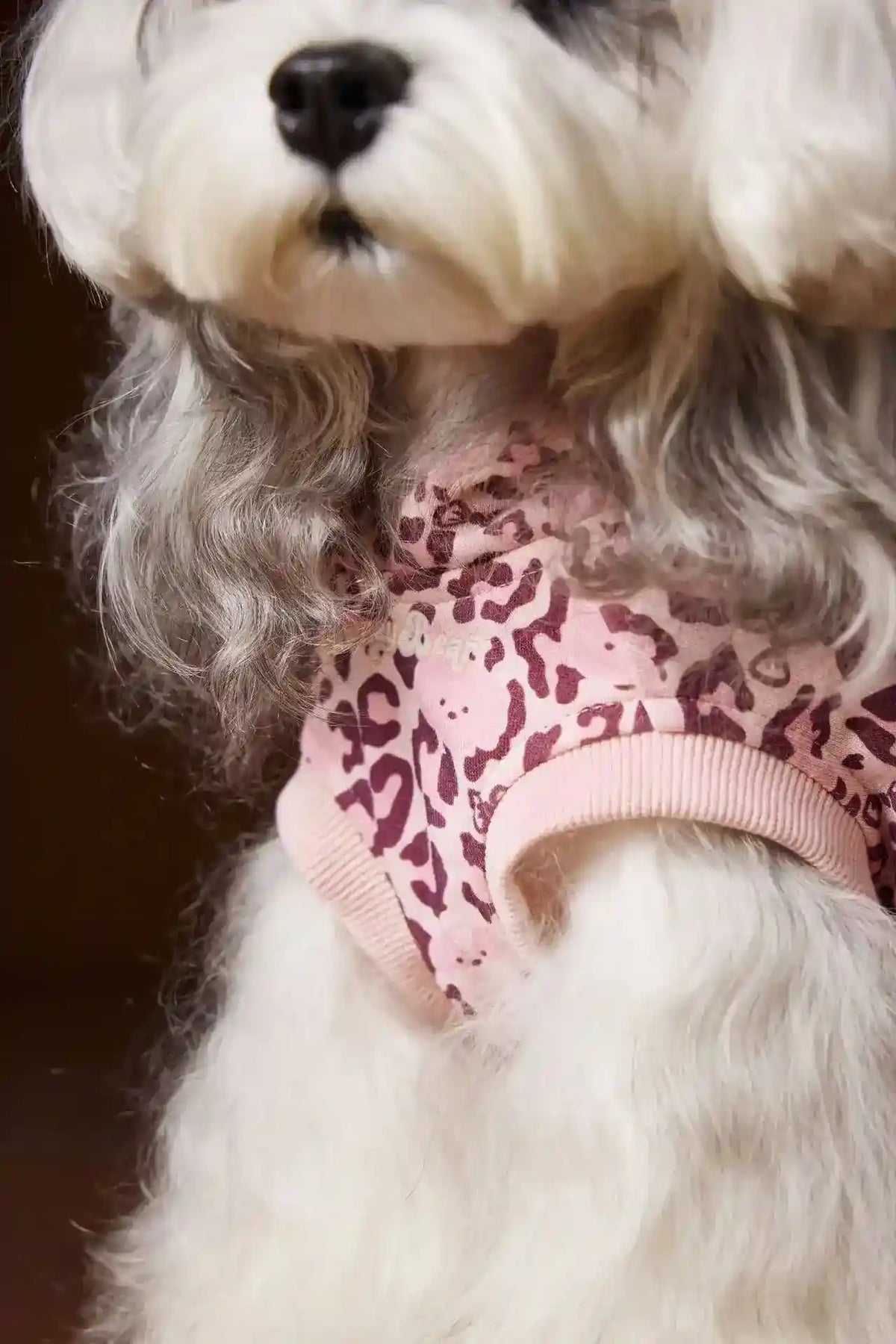 Maglia Tawney Bear Leopardata con Cappuccio - Smanicata by Dog Moda