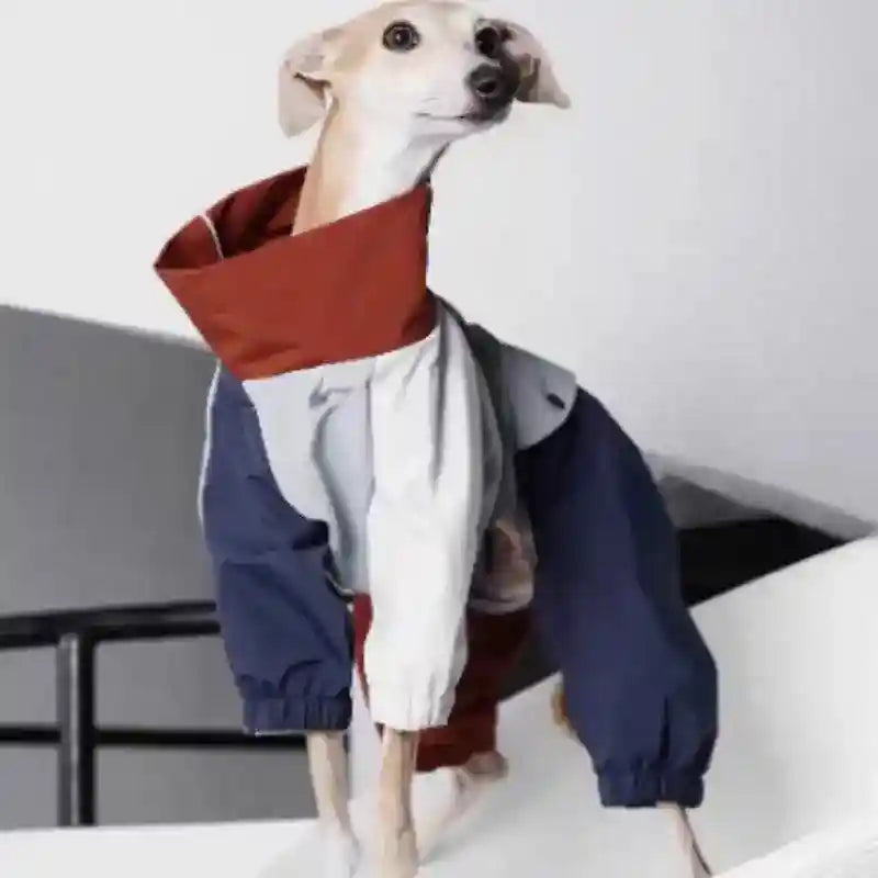 Impermeabile per Cani Neptune 4 Zampe - Antipioggia Antivento by Dog Moda
