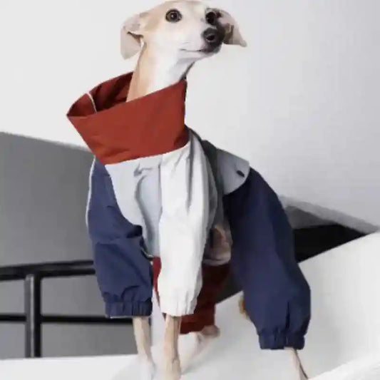 Impermeabile per Cani Neptune 4 Zampe - Antipioggia Antivento by Dog Moda