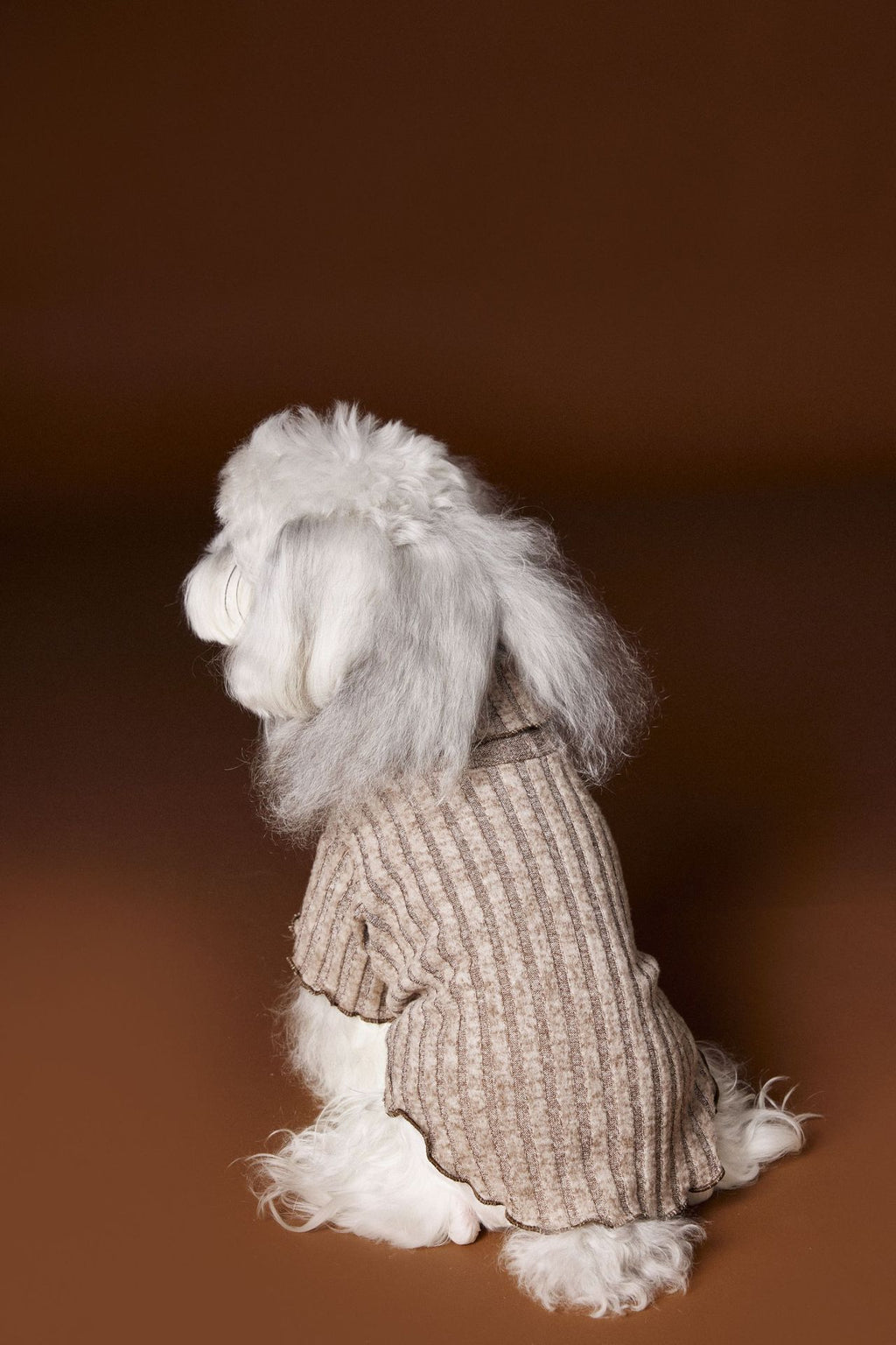Vestito Elegante Buttons per Cani - Fiocco sul Colletto