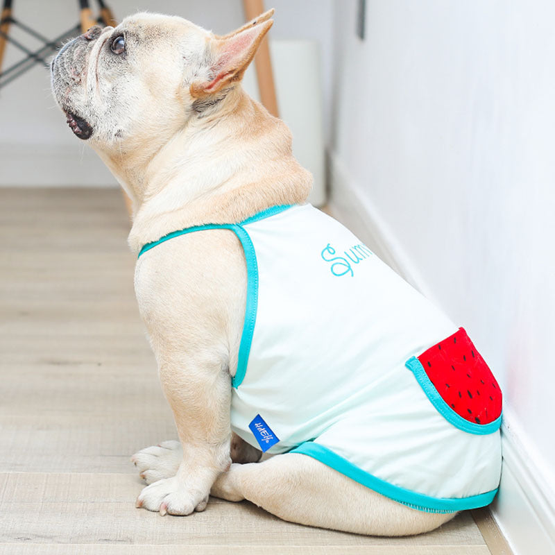 "Watermelon" Dog and Bulldog Vest
