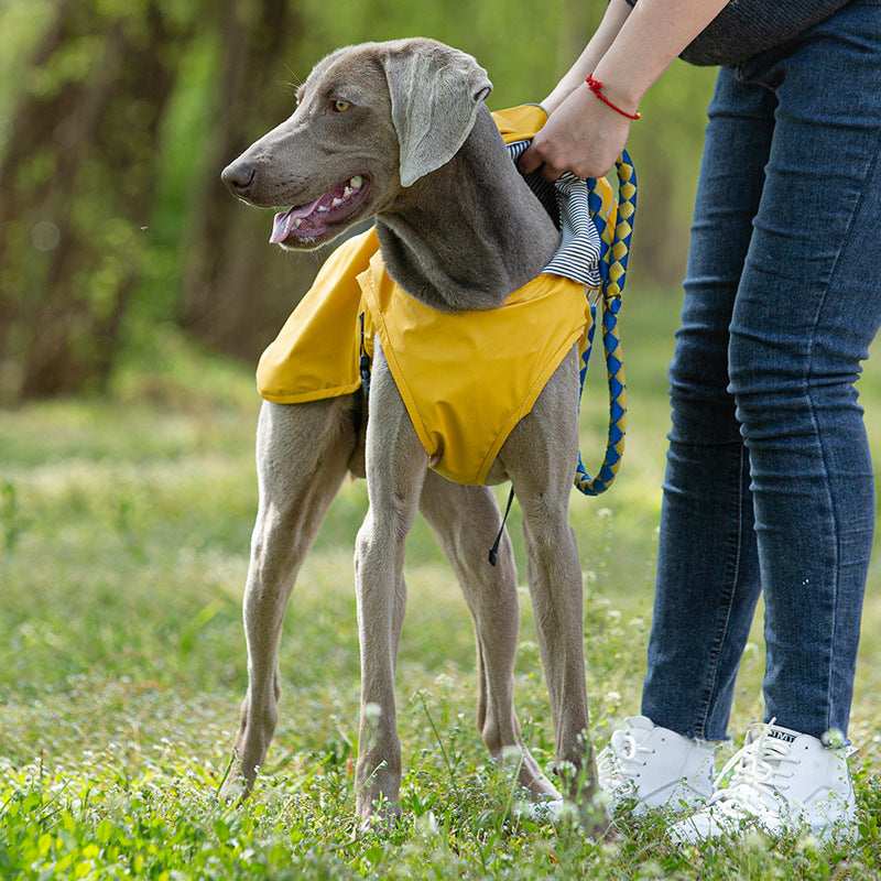 Raincoat "Portland" for Weimaraner: comfort and protection for rainy days