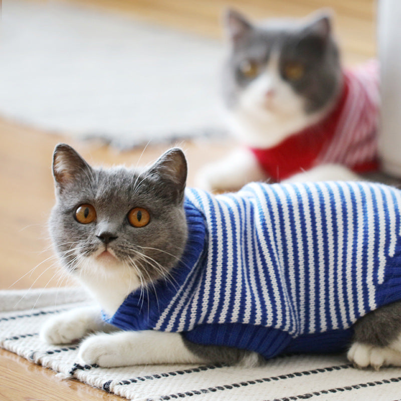 Cat Sweater – Soft, Warm and Available in Many Patterns