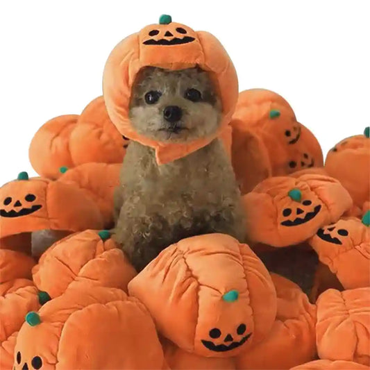 Cappello Zucca Halloween Cani Gatti - Costume Pet Arancione by Dog Moda