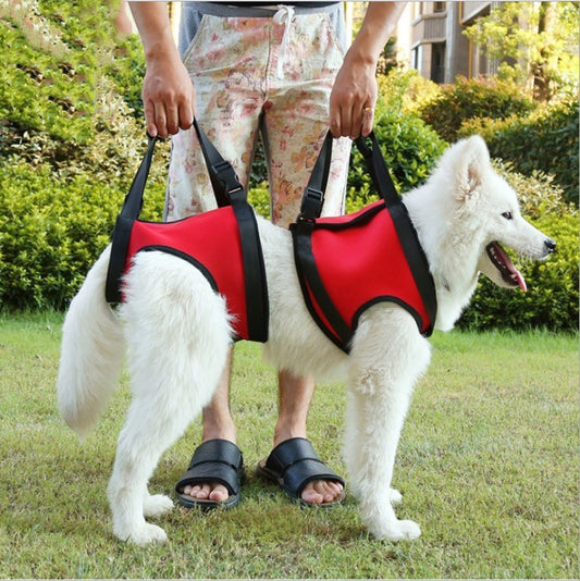 Imbragatura Sostegno Cani Anziani - Aiuto Mobilità by Dog Moda