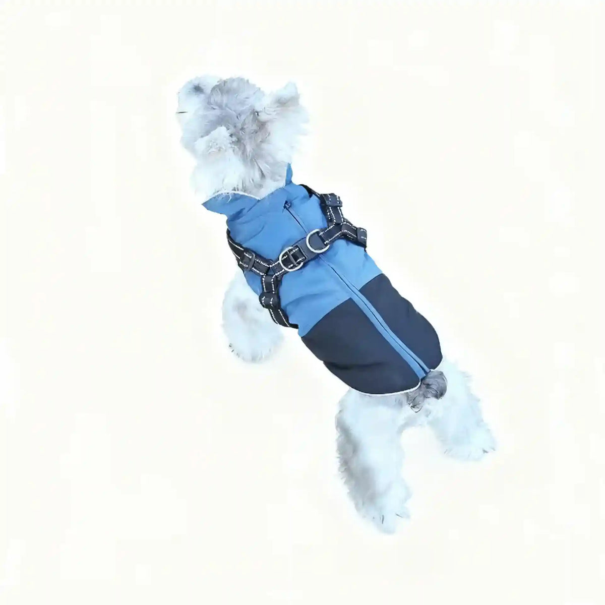 Cappottino per Cani con Pettorina e Zip - Interno Pile by Dog Moda