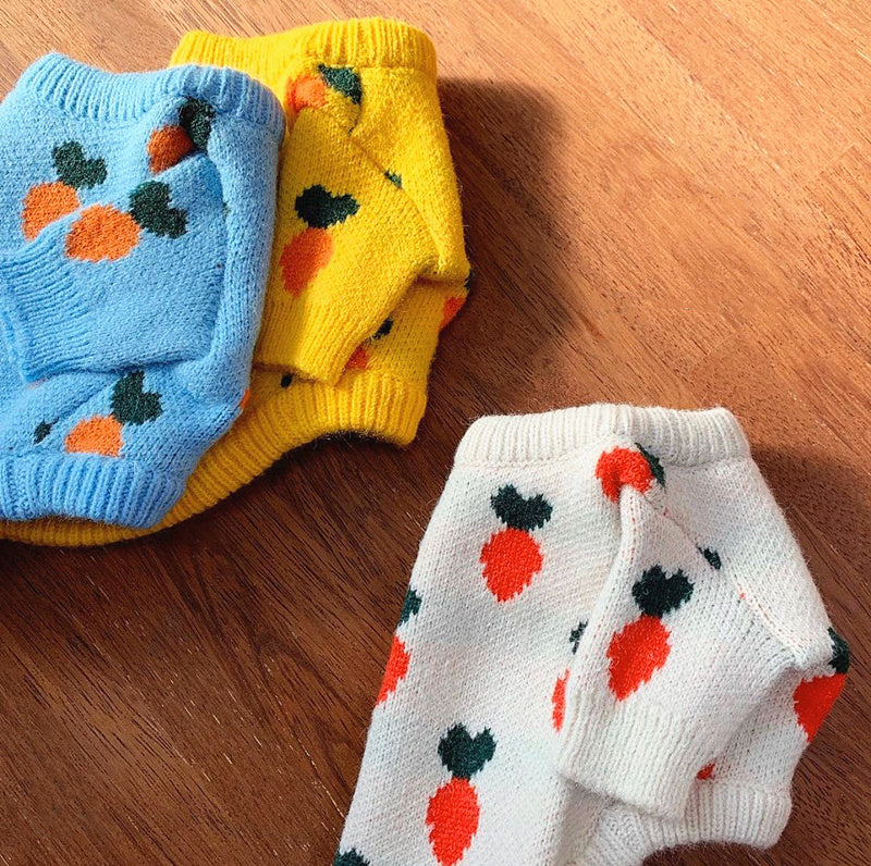 Carrot Pattern Dog Sweater 