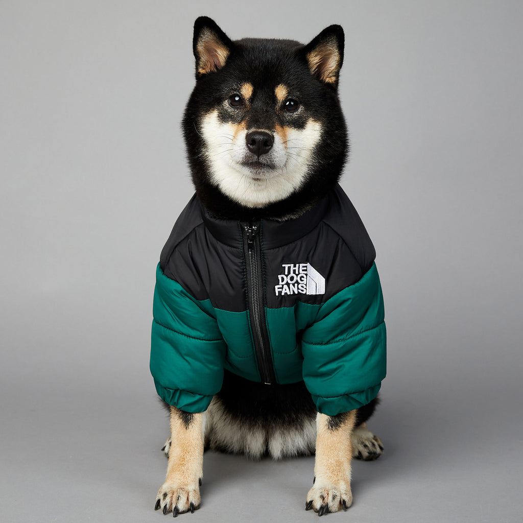 Giacca Invernale per Cani The Dog Fans - Impermeabile e Antivento