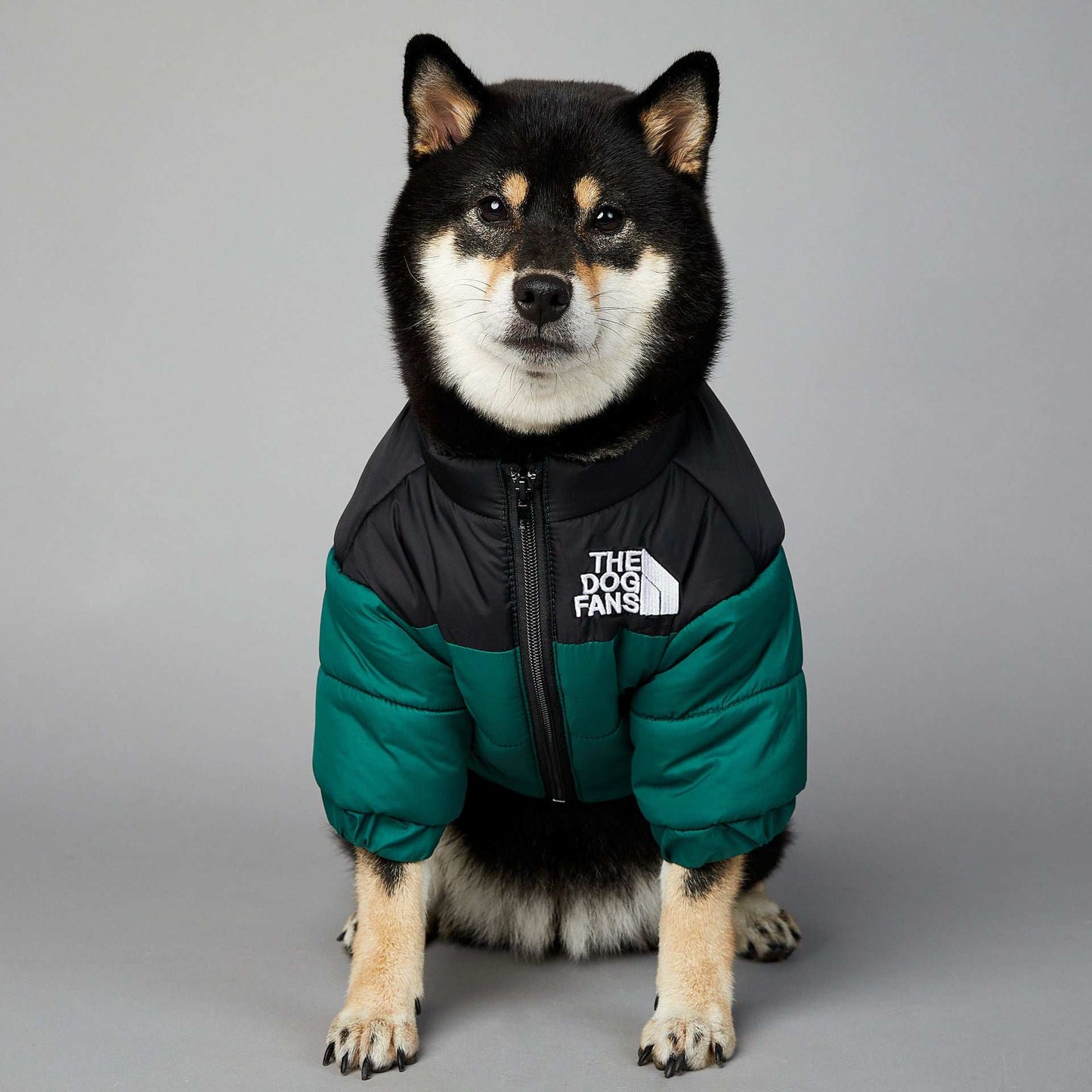Giacca Invernale per Cani The Dog Fans - Impermeabile e Antivento