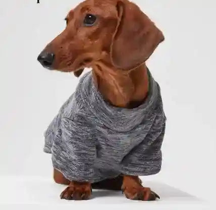 Felpa Fashion per Cani con Anello Pettorina - XS a 6XL by Dog Moda