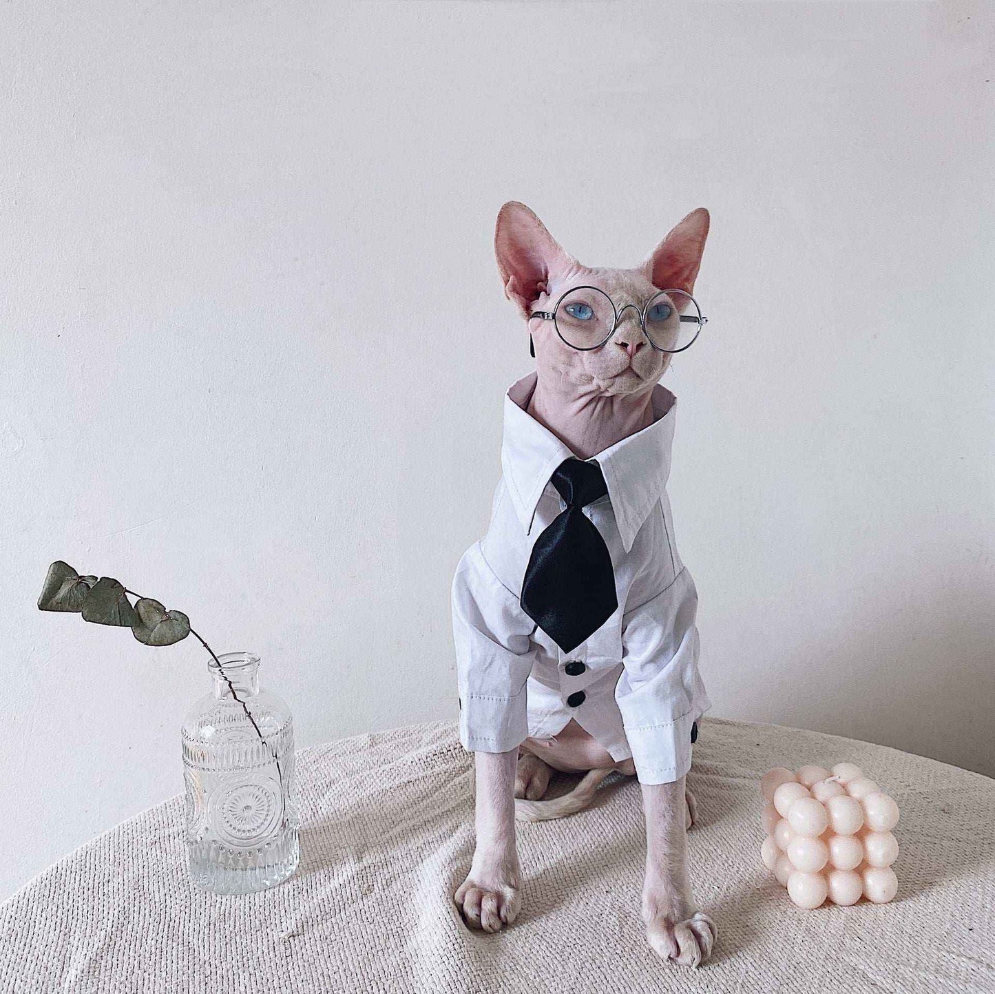 Vestito Elegante per Gatti Sphynx | Completo Giacca e Cravatta | Dogmoda