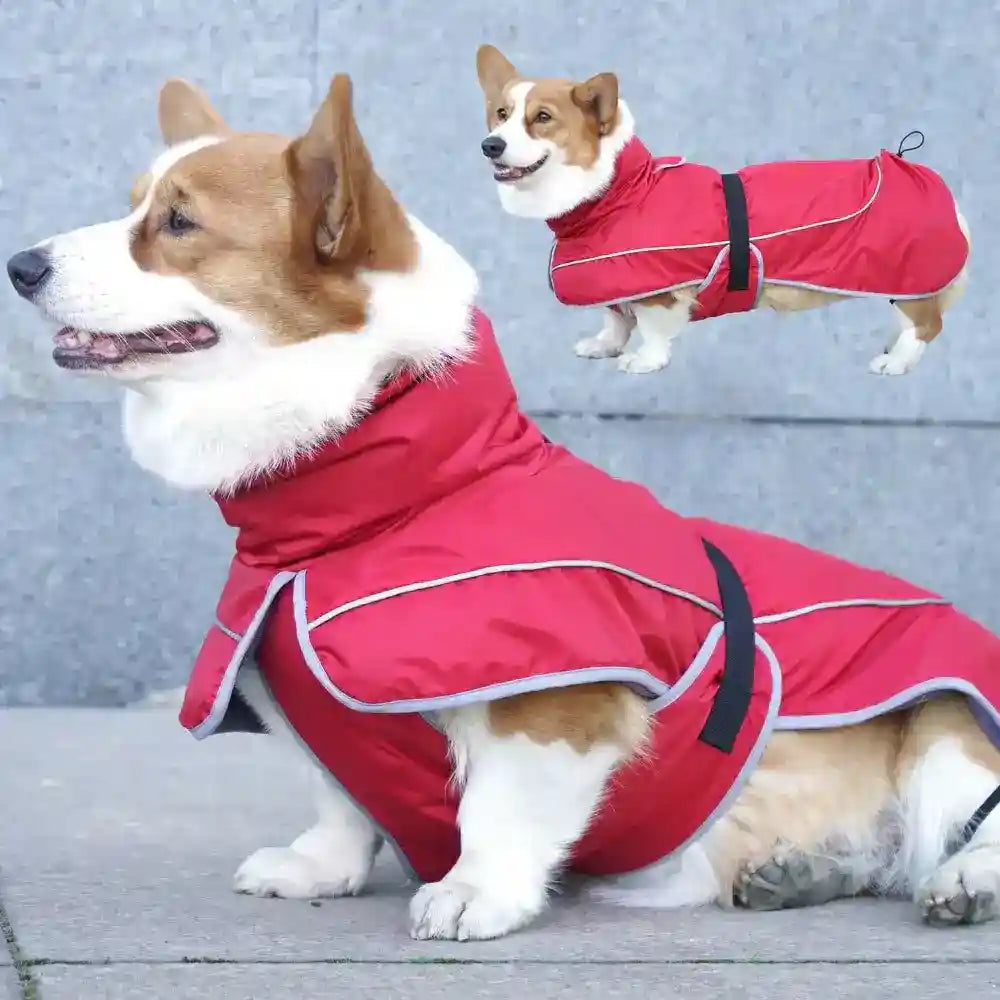 Cappotto per Cani Shell Antivento e Riflettente - Dogmoda by null