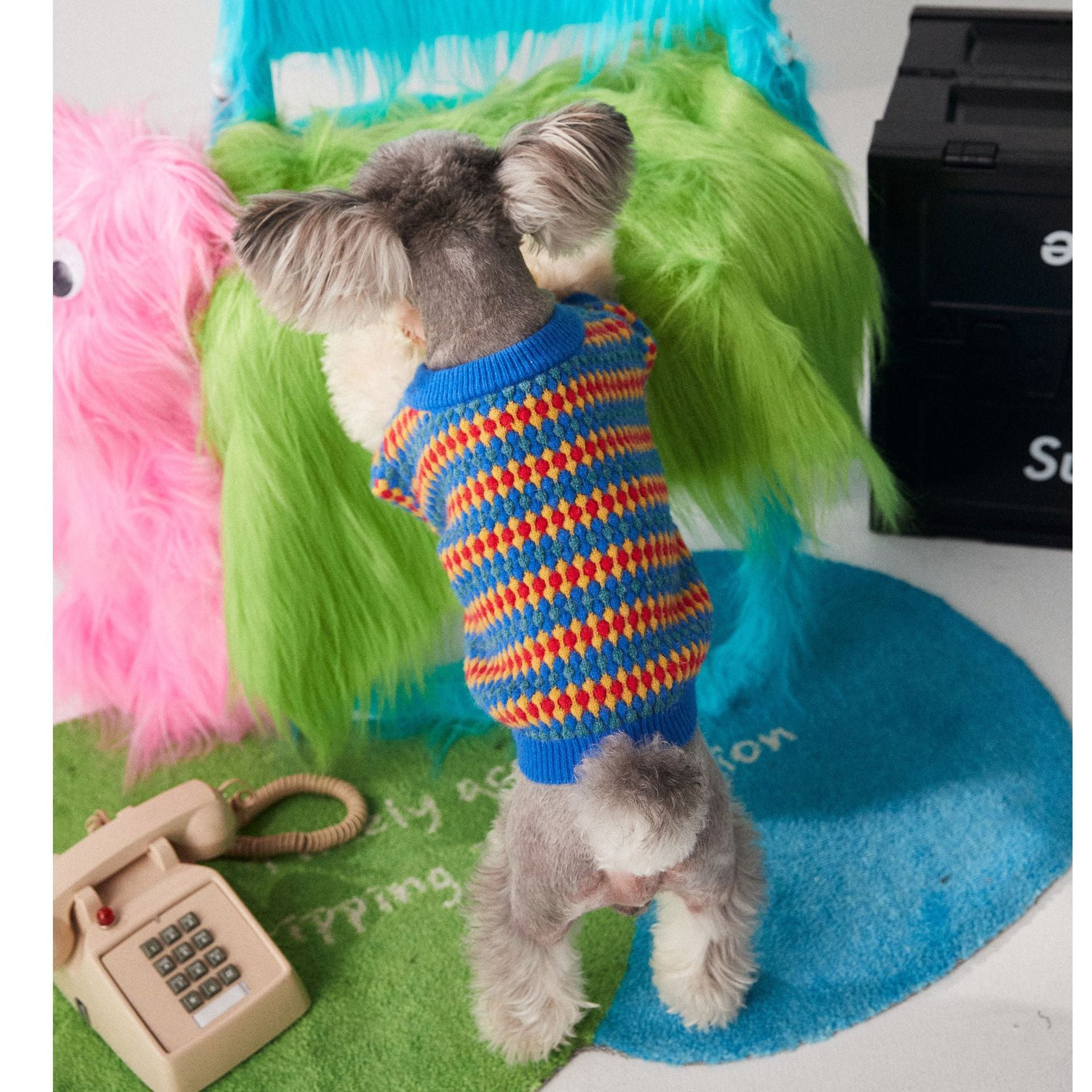 Pamplona Dog Sweater | Bright Colors and Yellow, Red and Blue Diamonds