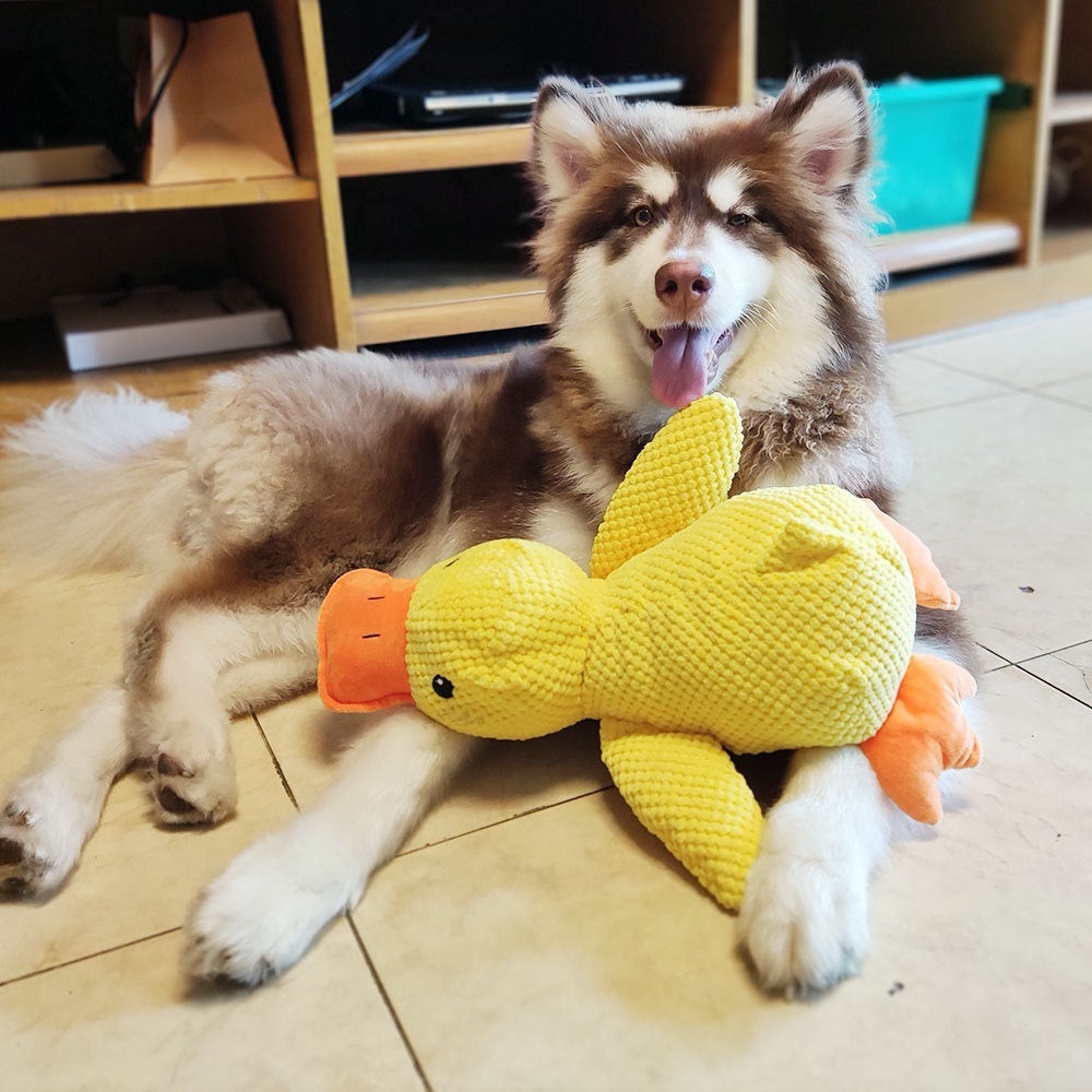 Plush Dog Toy "Paperotto" - Durable Fabric and Sound